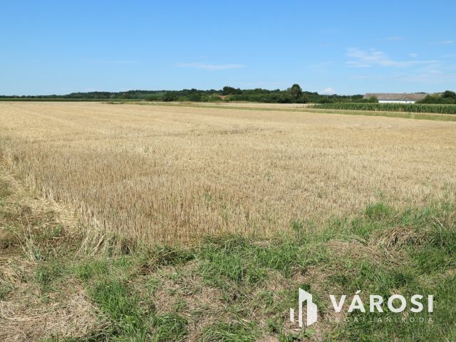 Egyházashollós,3 belterületi telek eladó,külön is. 2100m2/db