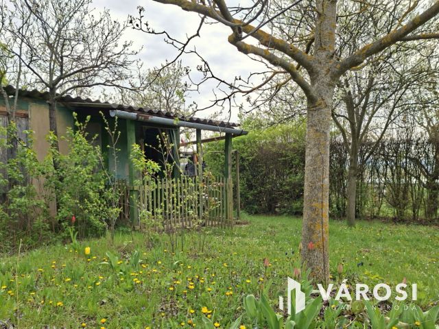 Csatárhegyi telek faépülettel