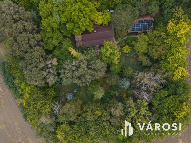 Saját skanzen és arborétum!